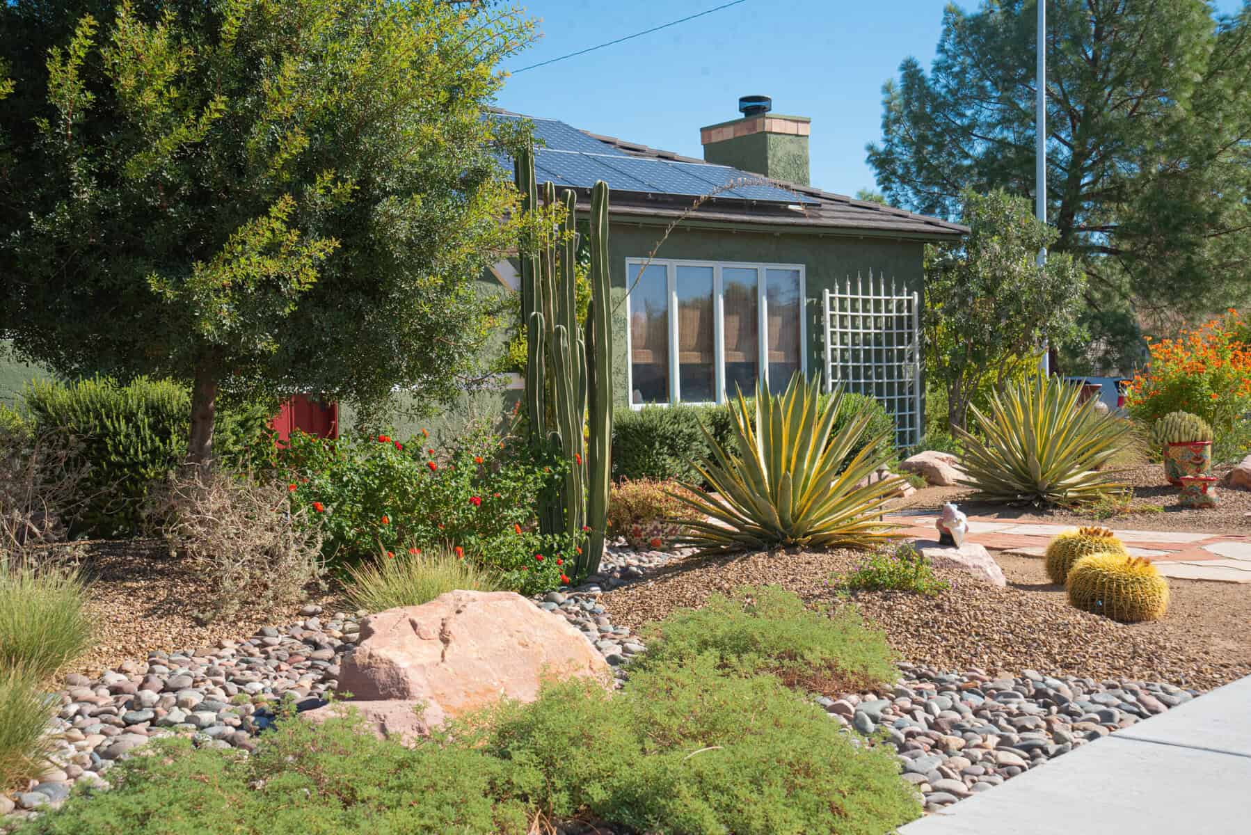 Beautiful desert garden landscaping with vintage home in the background